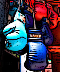 Boxer boxing